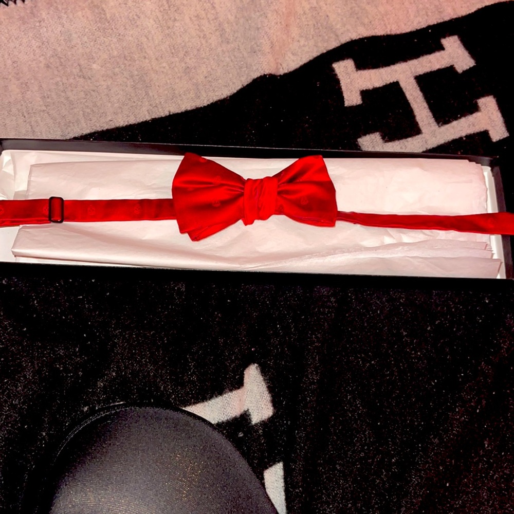 Alexander McQueen Men’s bow tie